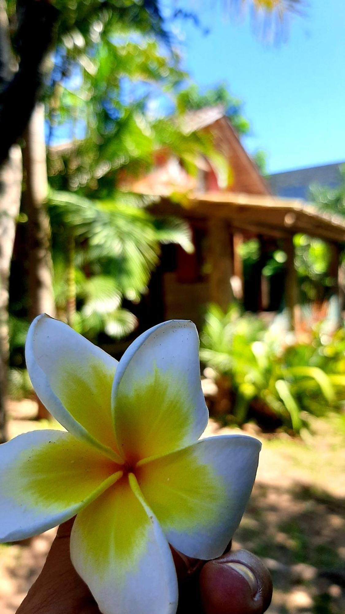 Praia Do Rosa Kaora Cabanas Rum bild