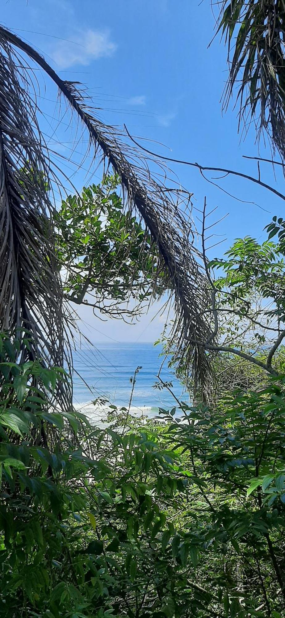 Praia Do Rosa Kaora Cabanas Rum bild
